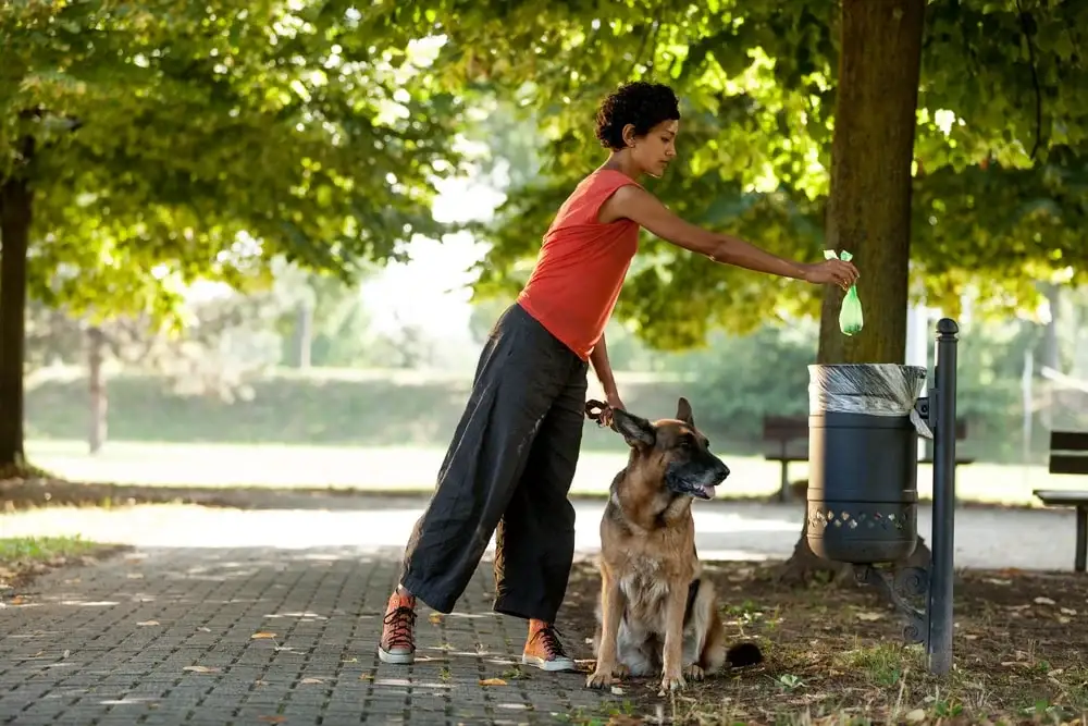 Person holding a dog poop bag dispenser while standing on the street with their Yorkie.