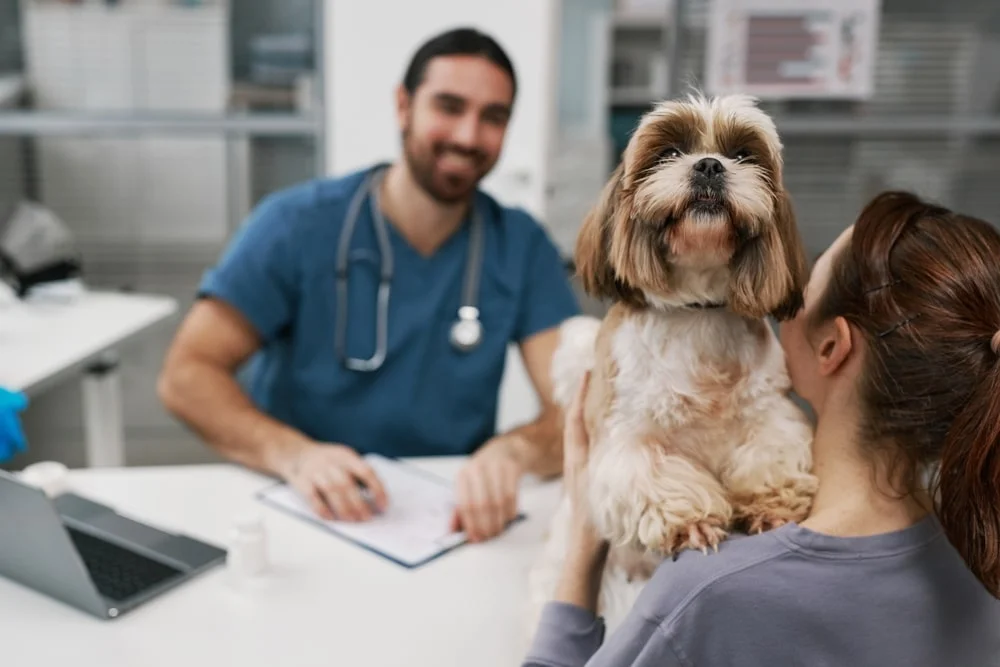 A long-haired dog hugs a woman's shoulder as she speaks to a veterinarian.