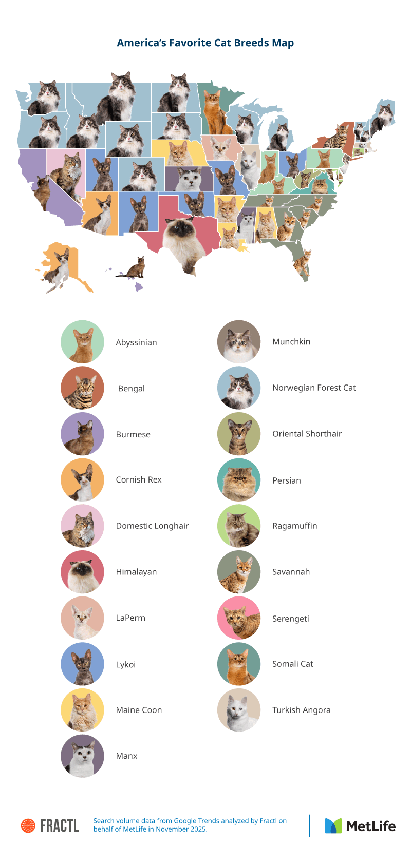 Map of cat searches in the US