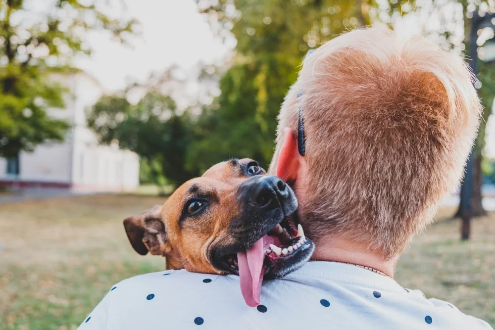 A tan-colored dog happily lays their head over their owner's shoulder from in front with their mouth open and tongue out.