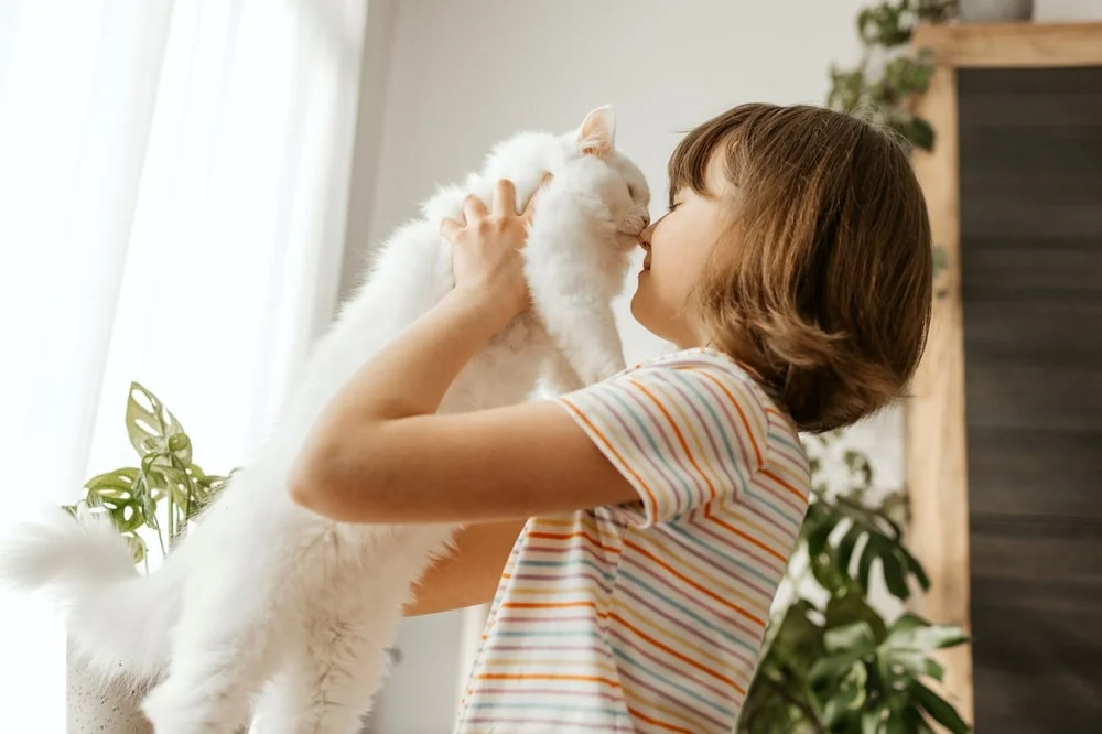 Little girl touching noses with her cat