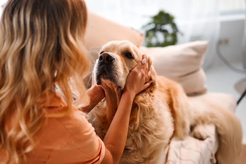 woman sitting on the cough with her dog