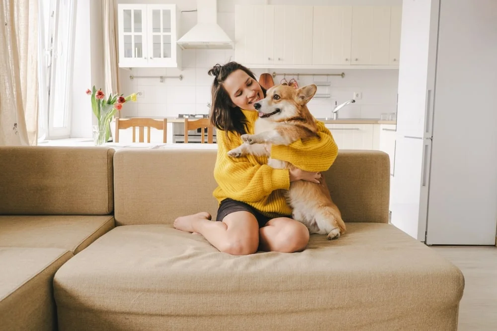 Dog owner sitting with their dog on a couch