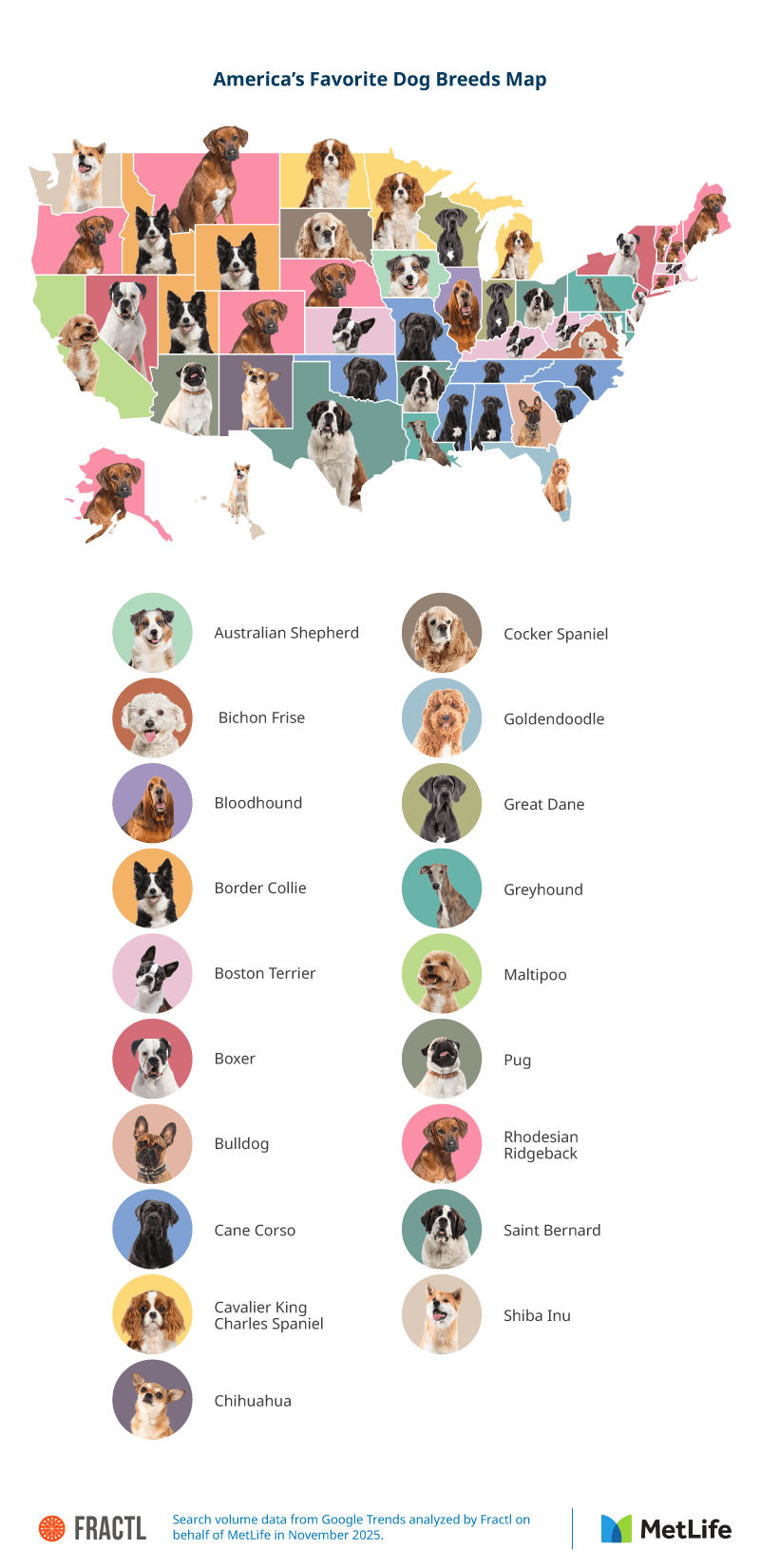 Map of dog searches in the US