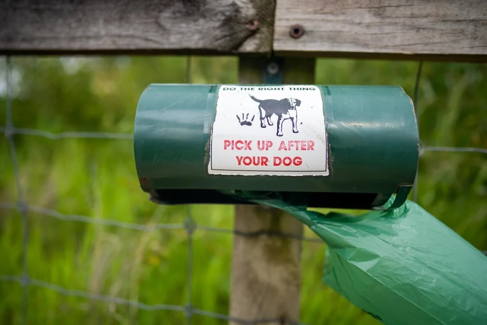 Green dog poop dispenser in a park. 