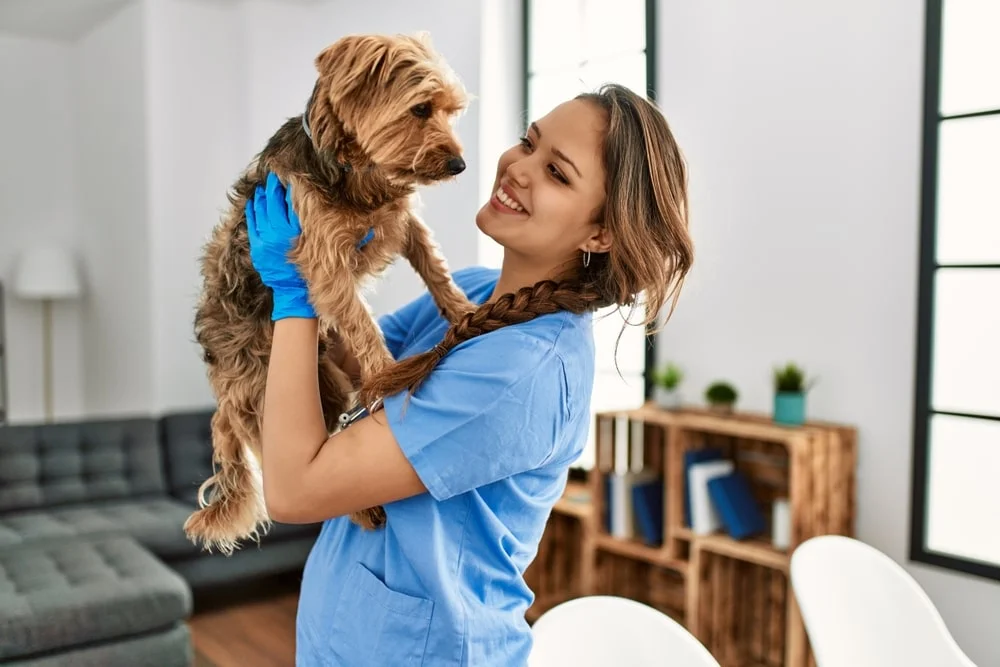 Female veterinarian holding a dog 