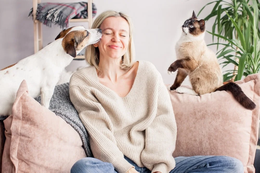 Woman resting on the couch with a dog and cat