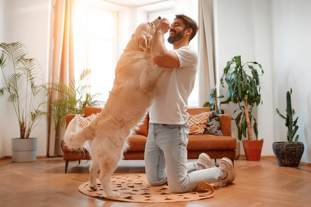 Give Your Pet a Fighting Chance With the Help of MetLife Pet Insurance