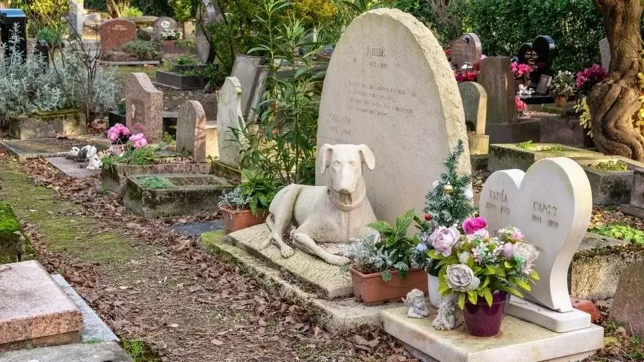 A headstone featuring a dog statue in a cemetery.