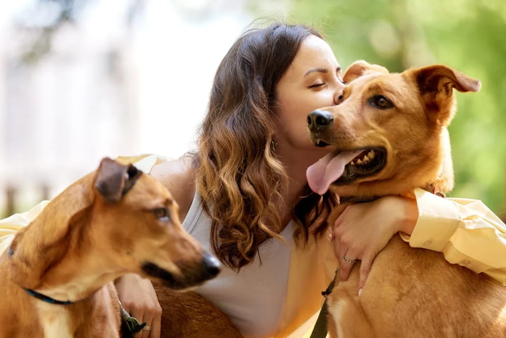 woman giving her dogs a kiss