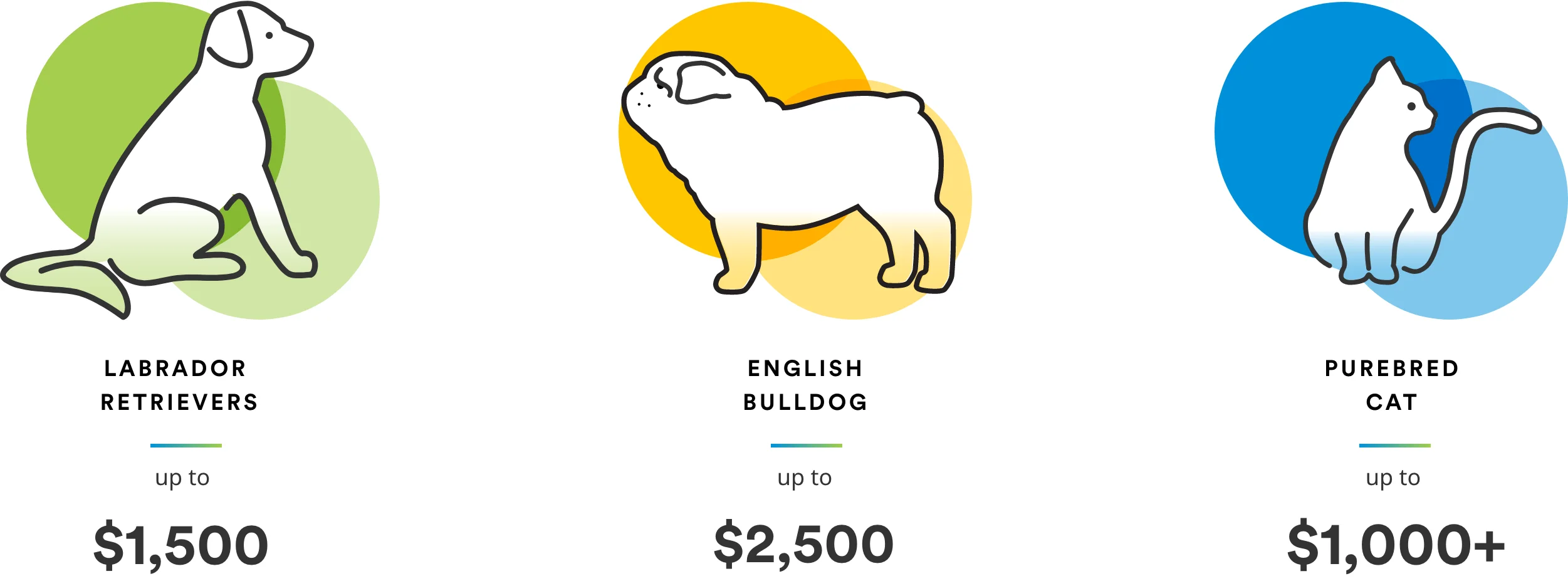 Three illustrated pets: yellow lab with text that says up to $1,500; English bulldog with text that says up to $2,500; purebred cat with text that says up to $1,000+