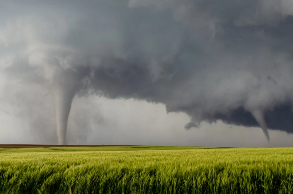 Two tornadoes touch down on the horizon of a green field.