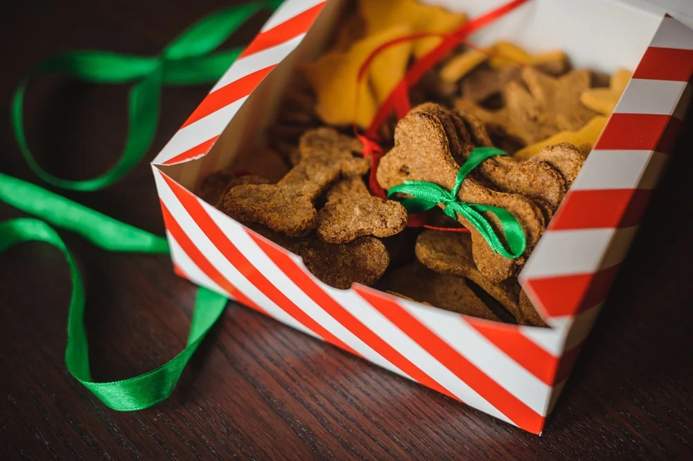 How to Make Holiday Dog Treats MetLife Pet Insurance