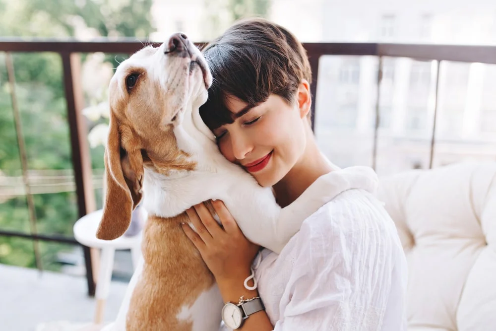 A white and tan-colored basset hound and young woman share a hug on a balcony outdoors during daylight. 