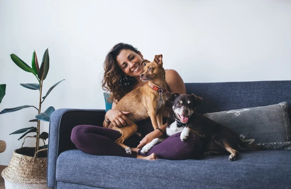 woman cuddling on the couch with her 2 dogs