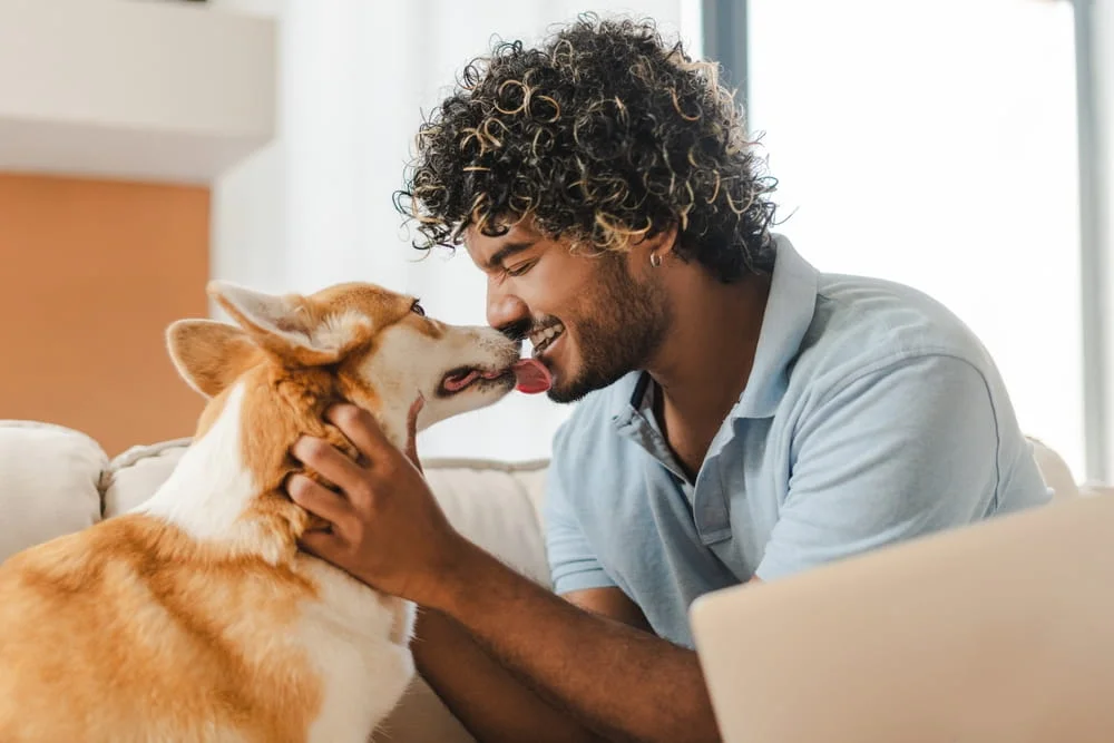 Dog giving a man a lick on the face