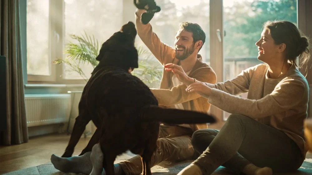 Married couple playing with their dog