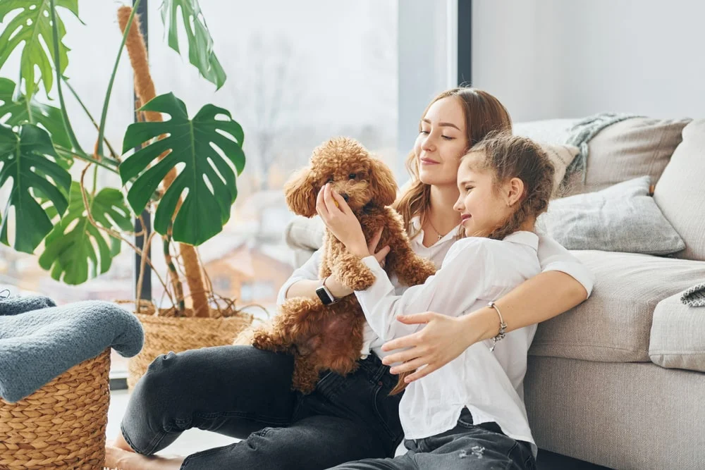 Mom and her daughter playing with a poodle