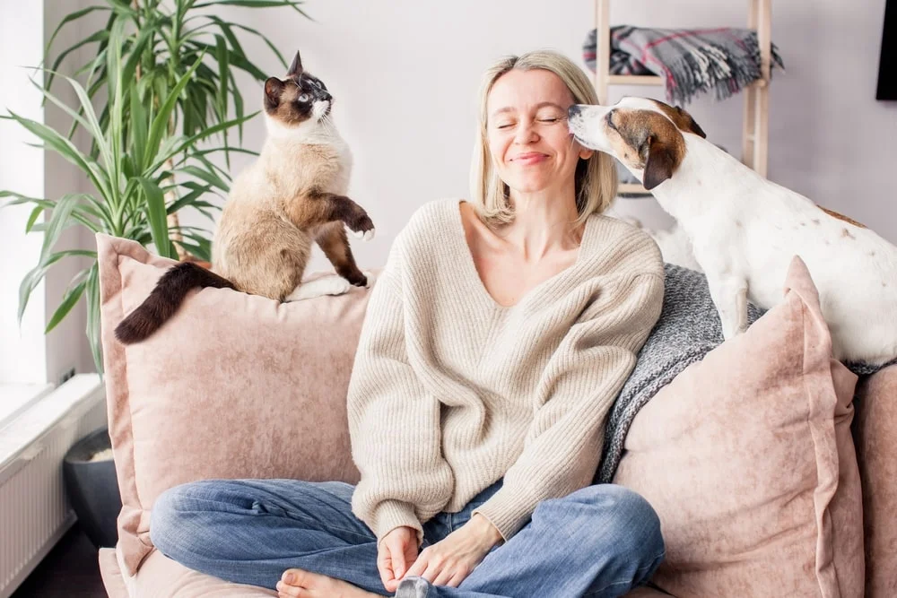 Woman getting a kiss from her dog while a cat site next to her