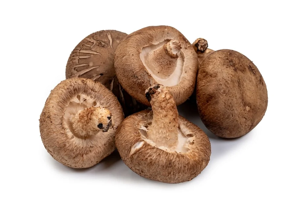 Mushrooms