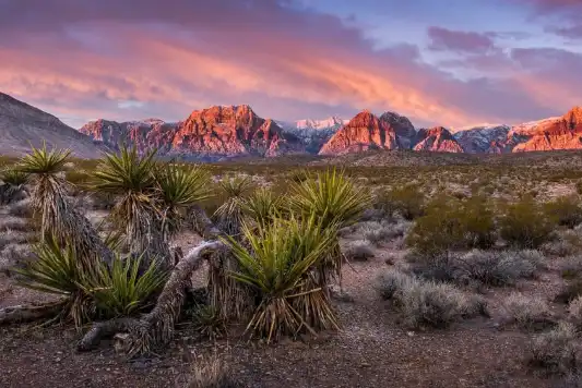 Arial of Nevada desert