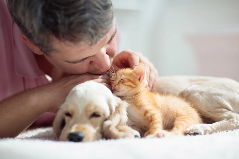 A person cuddles a snoozing golden lab pup and an orange kitten.