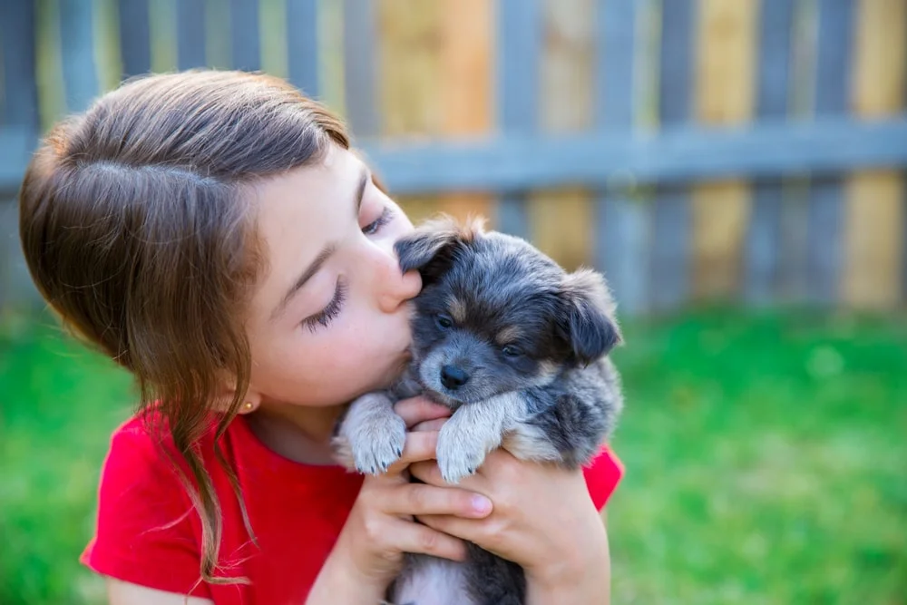 A child in red kisses a small puppy.