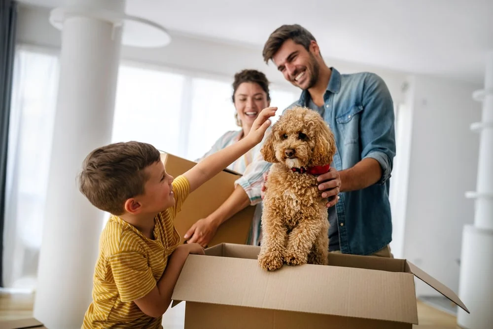 Happy family unpacking boxes in new home on moving day