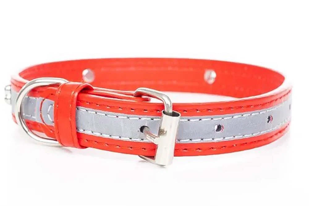 Red reflective dog collar