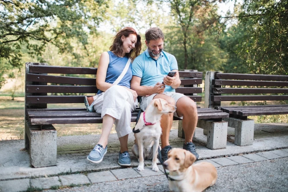 Man and woman sitting on a bench in the park with their dogs