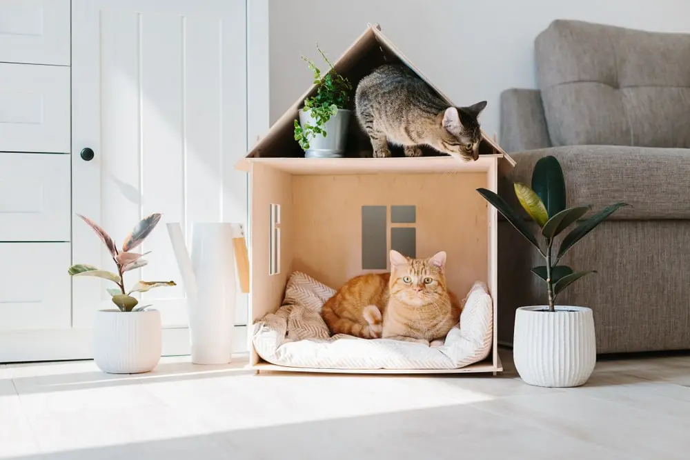 Two cats laying in a wooden cat house in a modern living room.