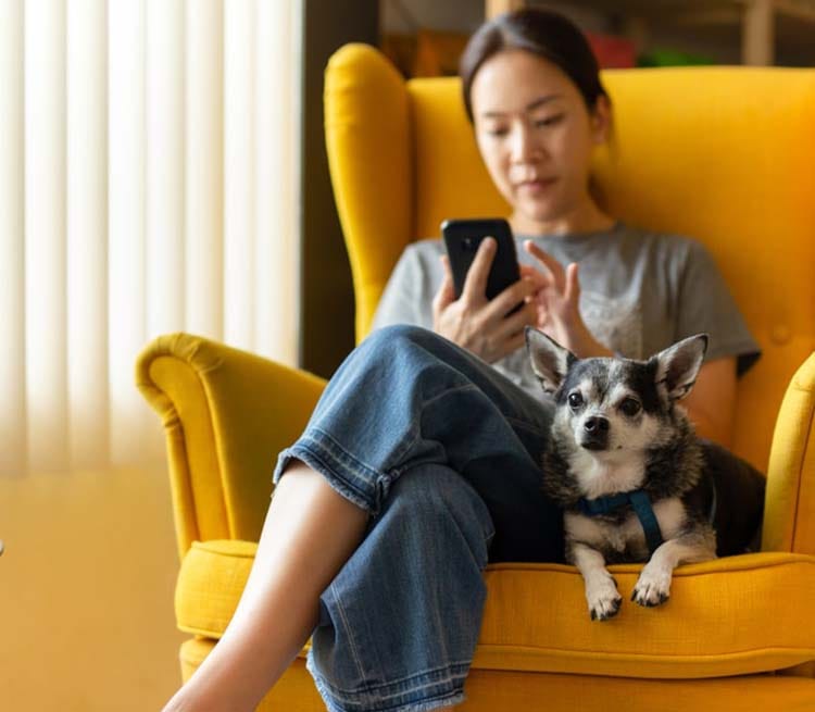 woman sitting on a couch with her dog