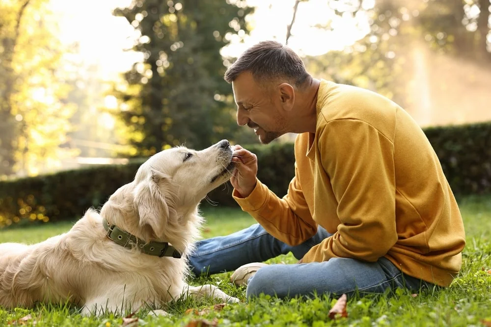 Man sitting on the lawn and giving his dog a treat in the yard