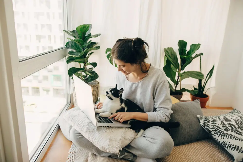 Woman sitting on the floor with her cat on her lap looking at a laptop together.