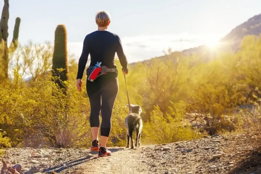 A woman and her leashed dog, seen from behind walking through desert scrub.