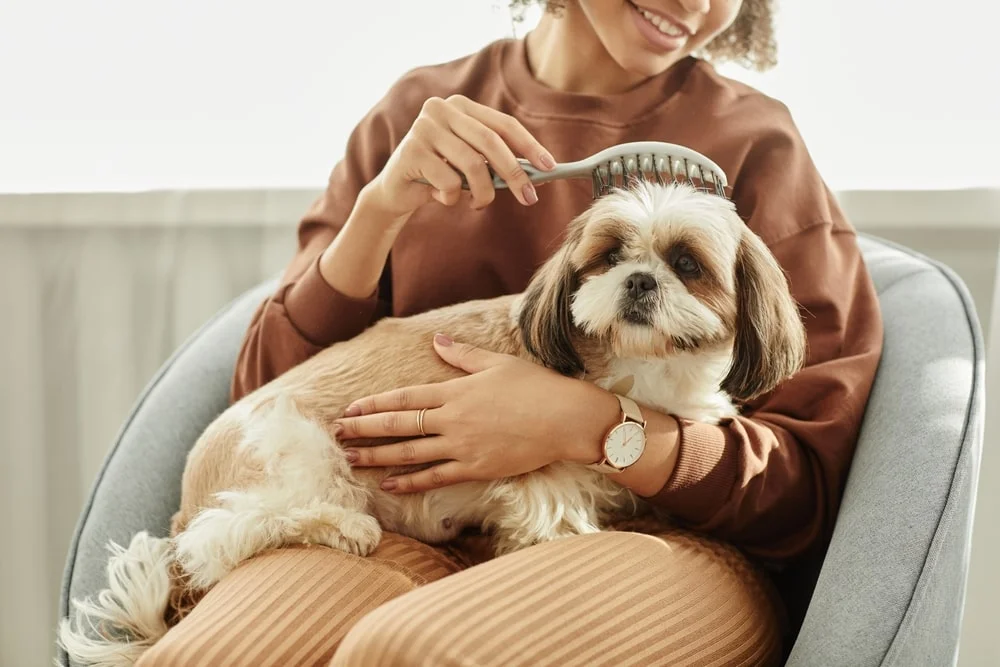 woman brushing her dog's hair
