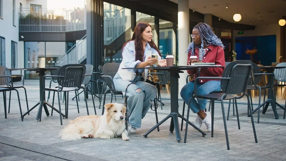 Two women sitting at a table with a dog sitting at their feet