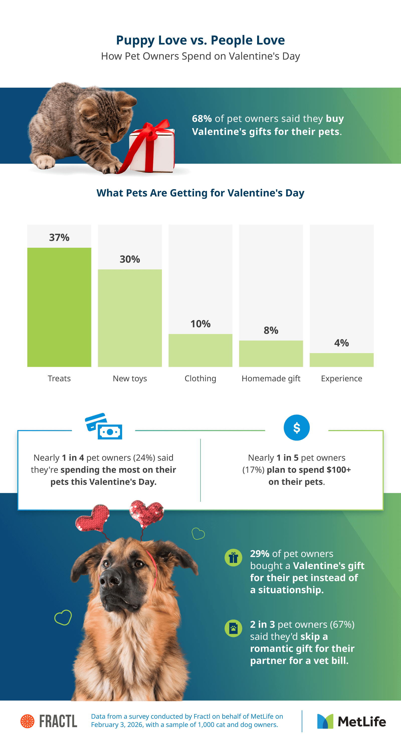 Infographic on Valentine’s Day gifts for pets, including treats, toys, and spending stats.