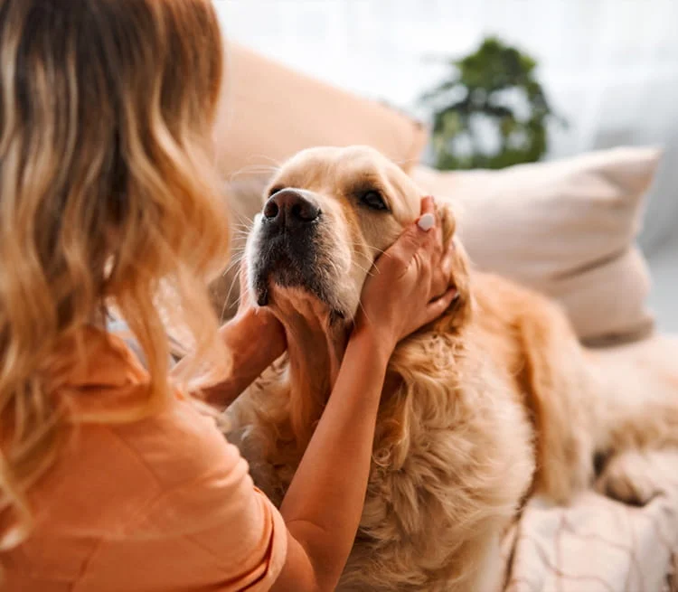 A woman cuddling with her dog on the couch
