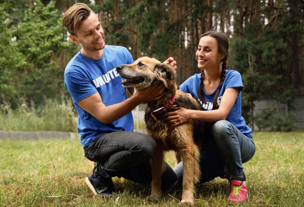Two volunteers at an animal shelter