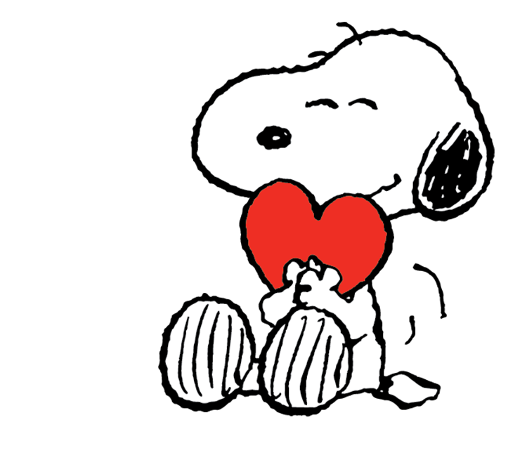 shih-poo puppy on a couch