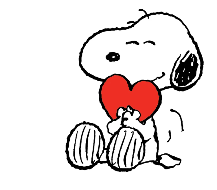 shih-poo puppy on a couch