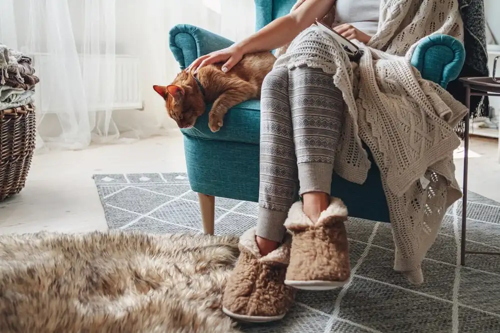 A person sits in a teal chair with an orange cat snoozing beside them.