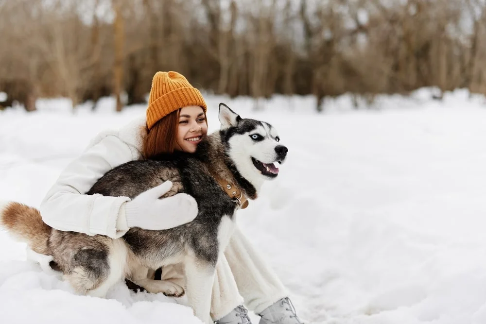 A person in an orange beanie sits in the snow with a husky.