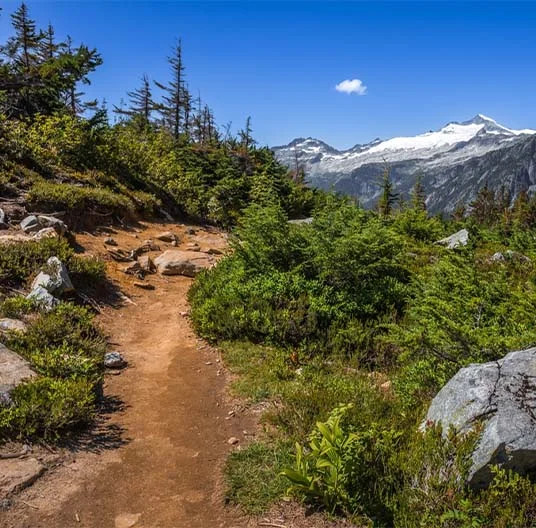 Scenic view of Washington