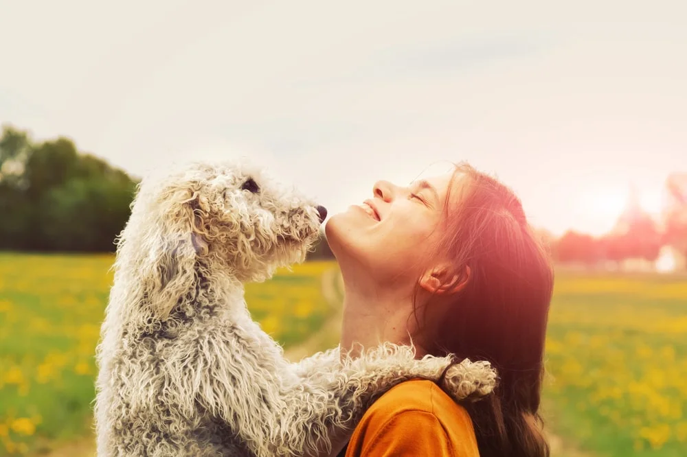 A woman and her curly-haired dog embrace each other while outside. 