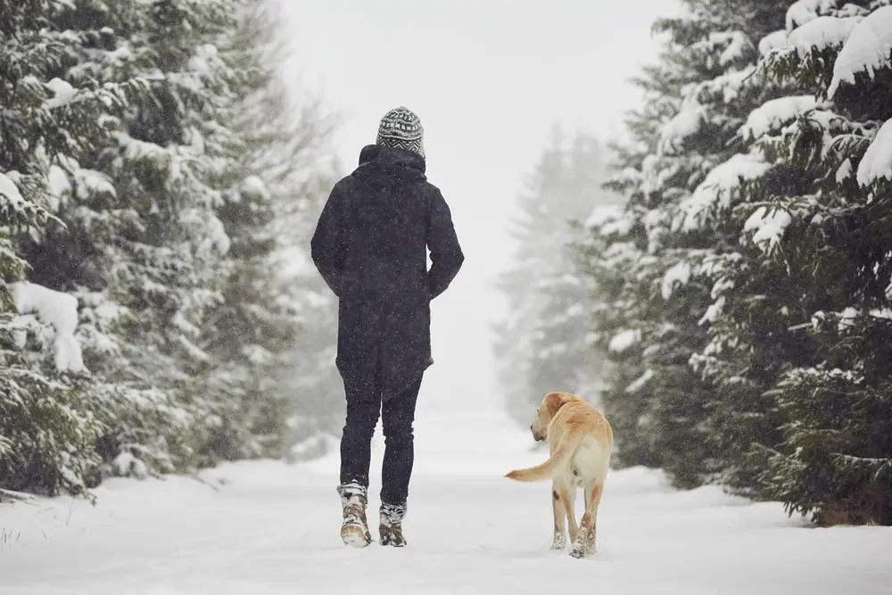 woman walking in the snow with her dog