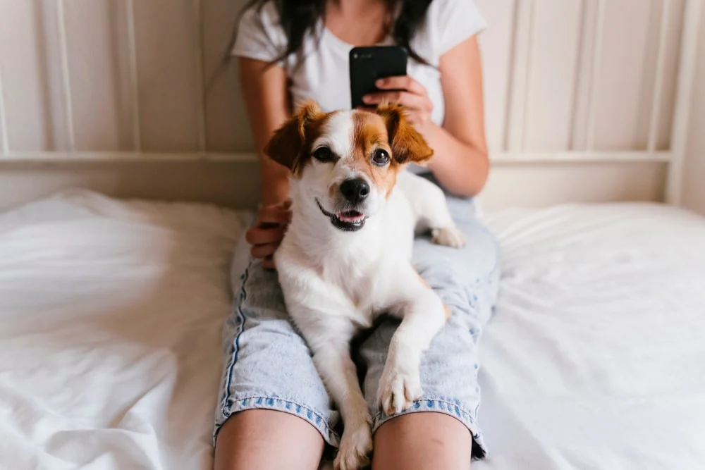 female dog owner on the cellphone