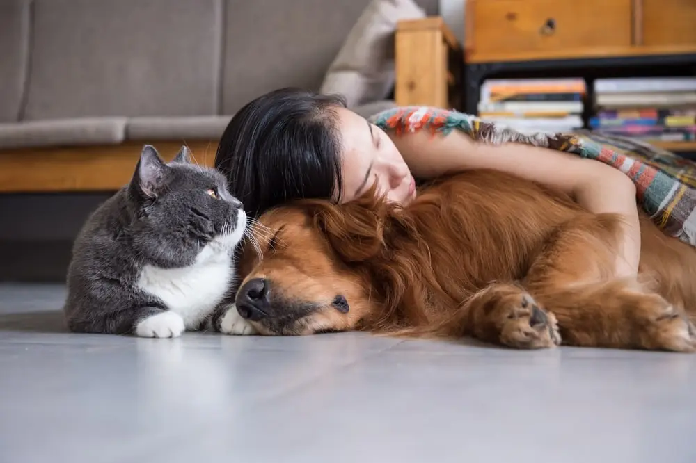 A girl sleeping with a dog and a cat.
