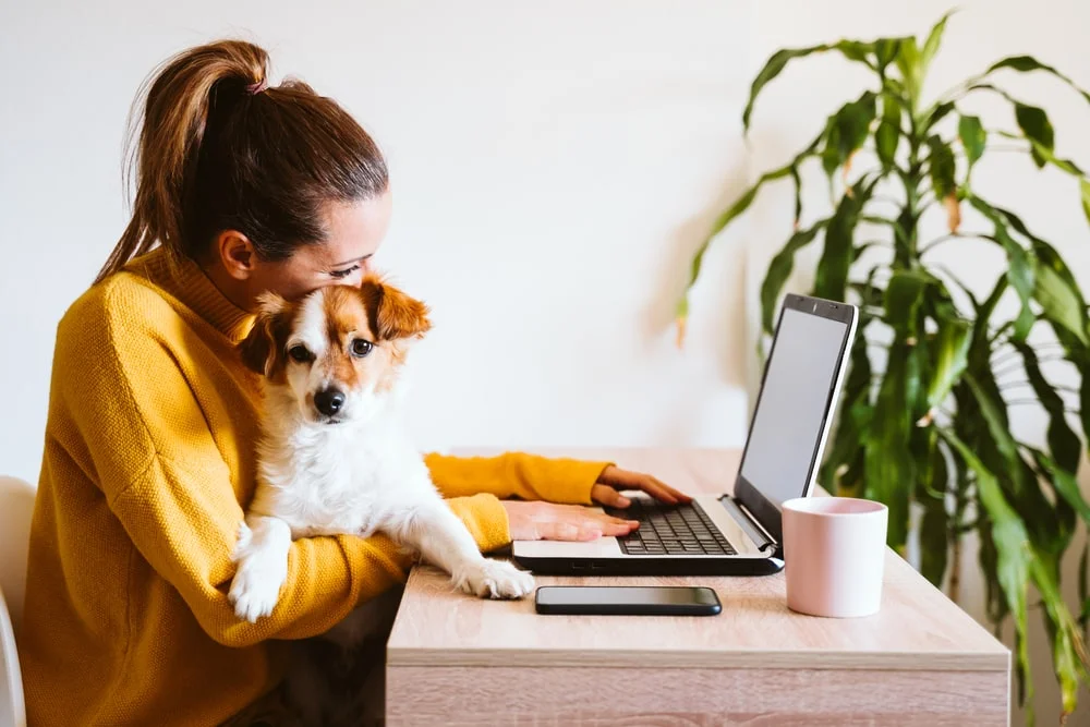 A woman sits at her laptop with her dog in her arms. 